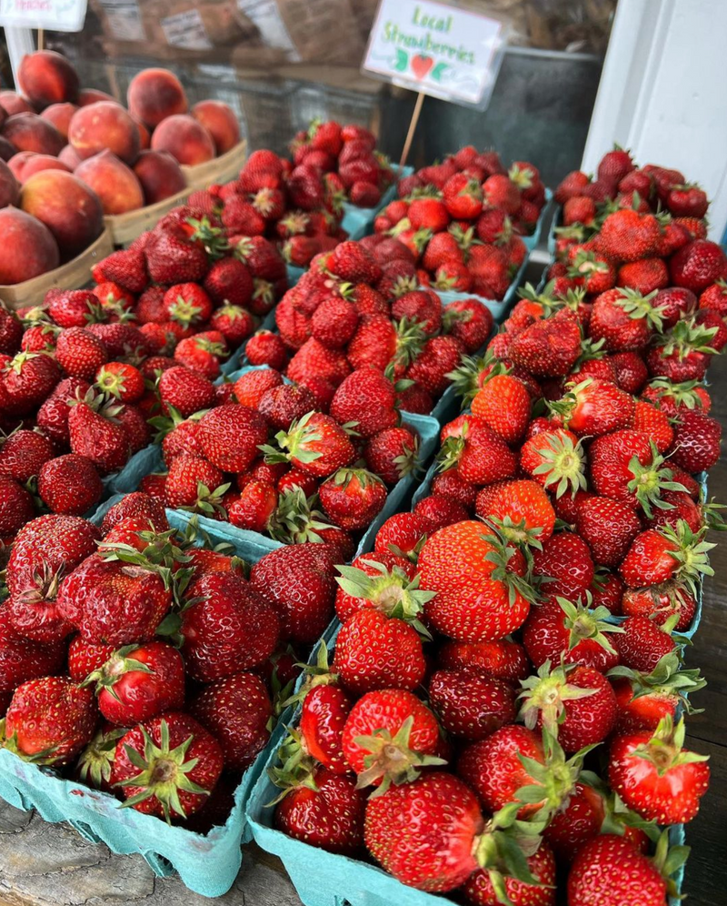 Strawberries from Round Swamp Farm